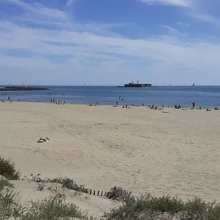 Centre Port Du Cap D'agde